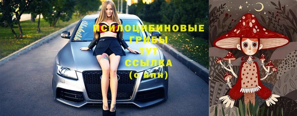 МДПВ Алексин