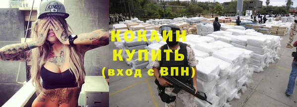 стафф Чита